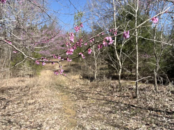 $699,000 | 1000 State Route 831, Greenville, KY 42345