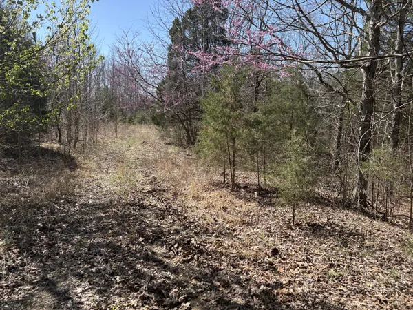 $699,000 | 1000 State Route 831, Greenville, KY 42345