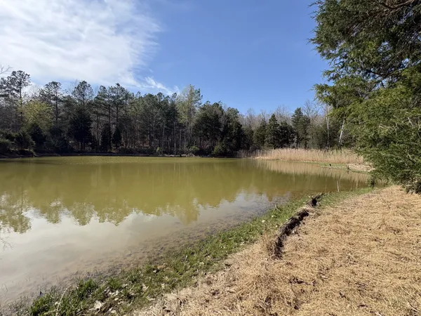 $699,000 | 1000 State Route 831, Greenville, KY 42345