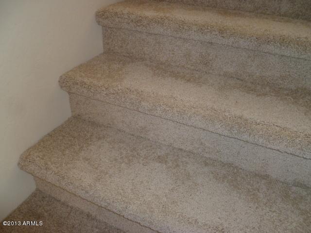 2946 South Del Rancho Circle Mesa, AZ 85212 - Photo 32 of 33 NEW CARPET