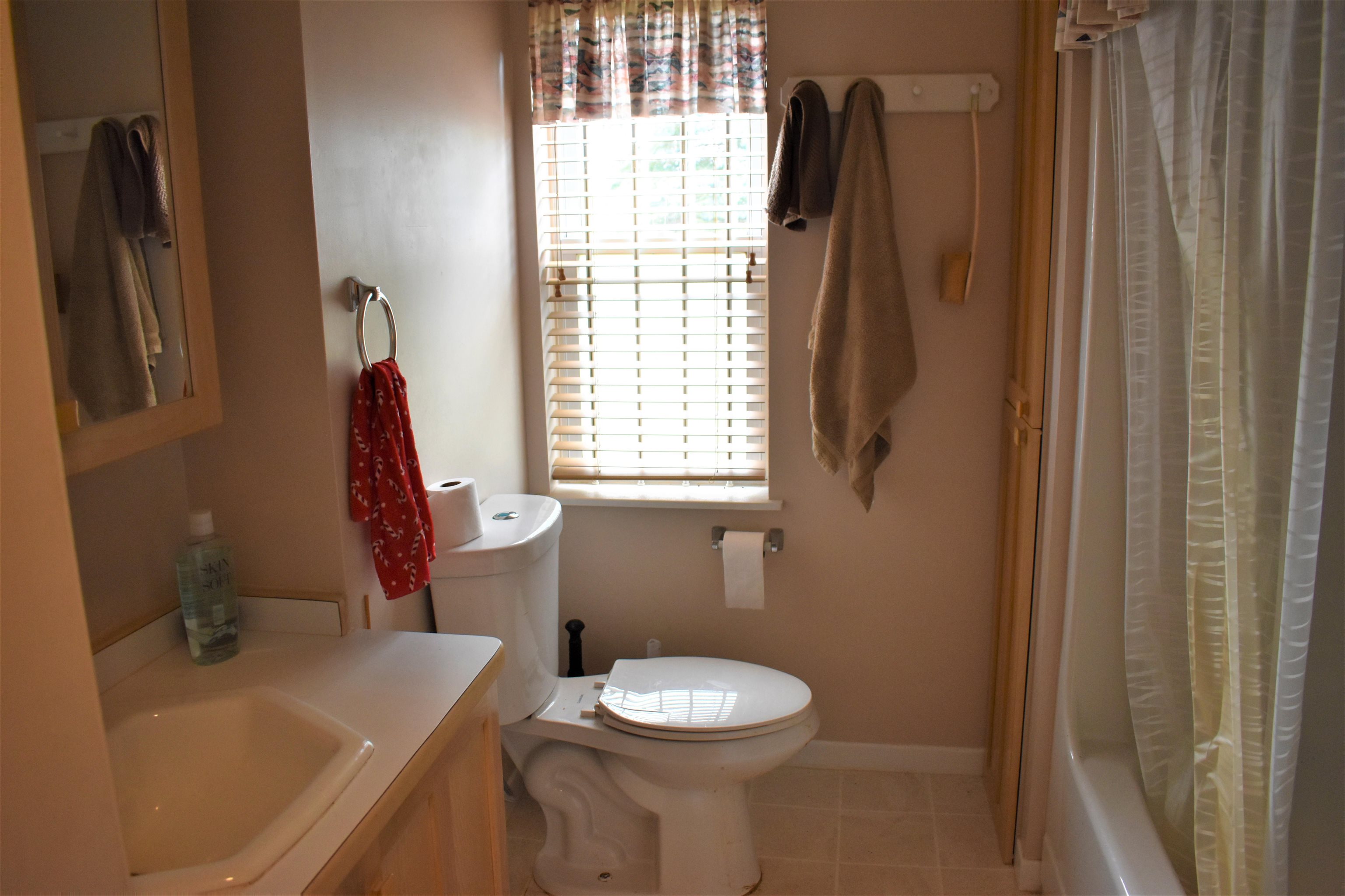 4408 Oberlin Road Gladwin, MI 48624 - Photo 33 of 53