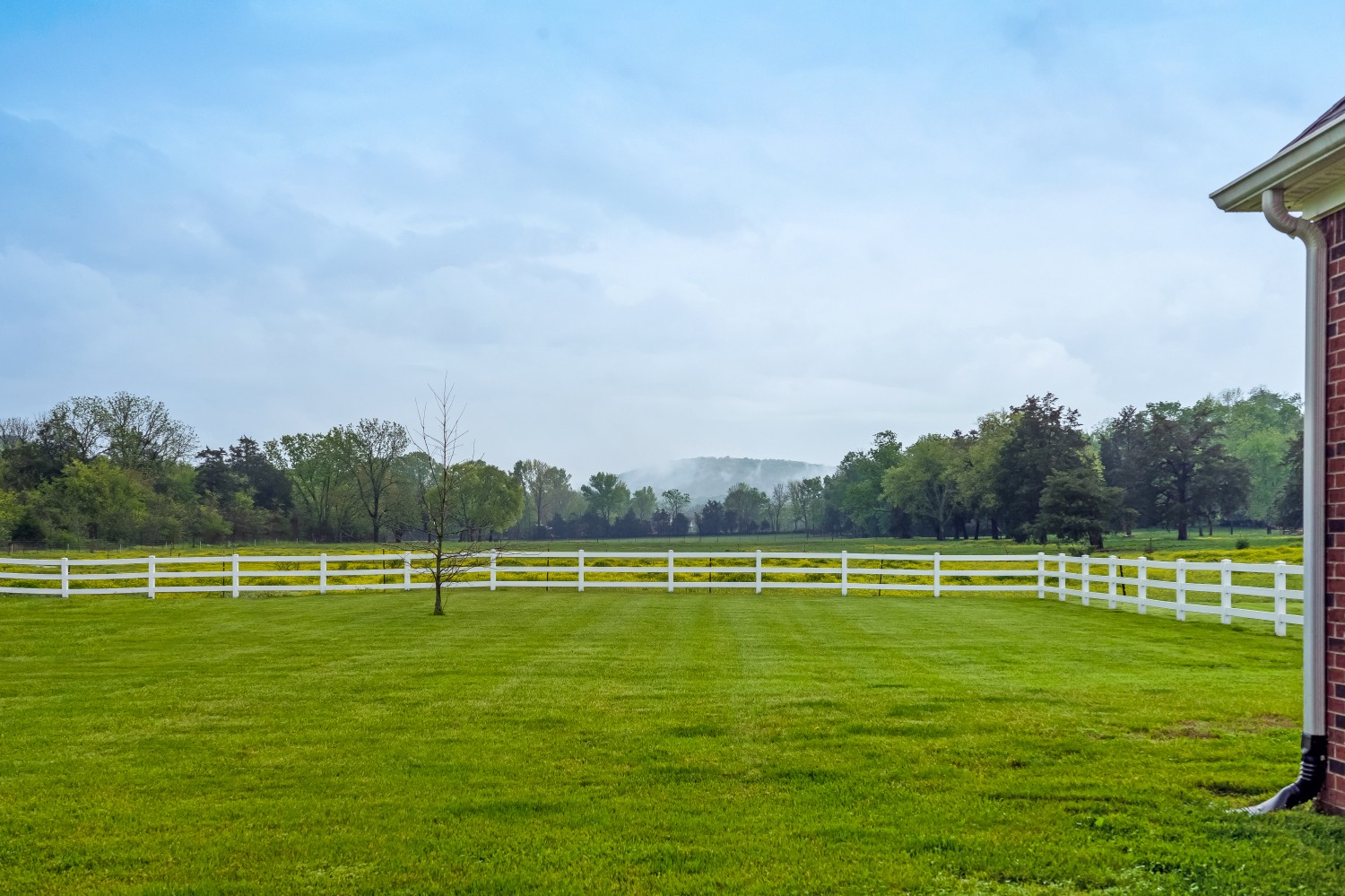 194 Greenvale Road Milton, TN 37118 - Photo 35 of 36 a view of a golf course with a lake