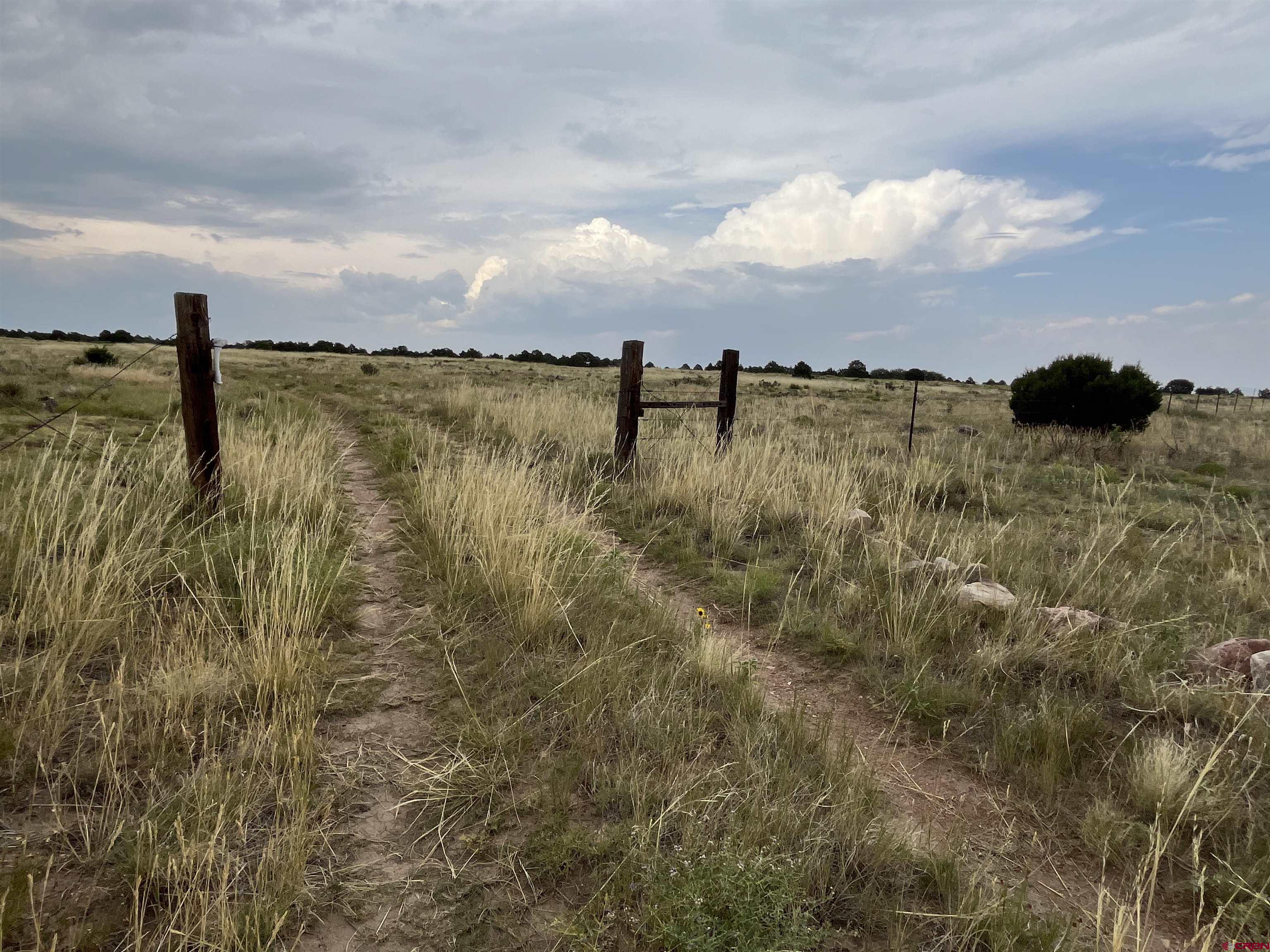 Lot 140 Cl & L Rye, CO 81069 - Photo 7 of 12 a view of lake
