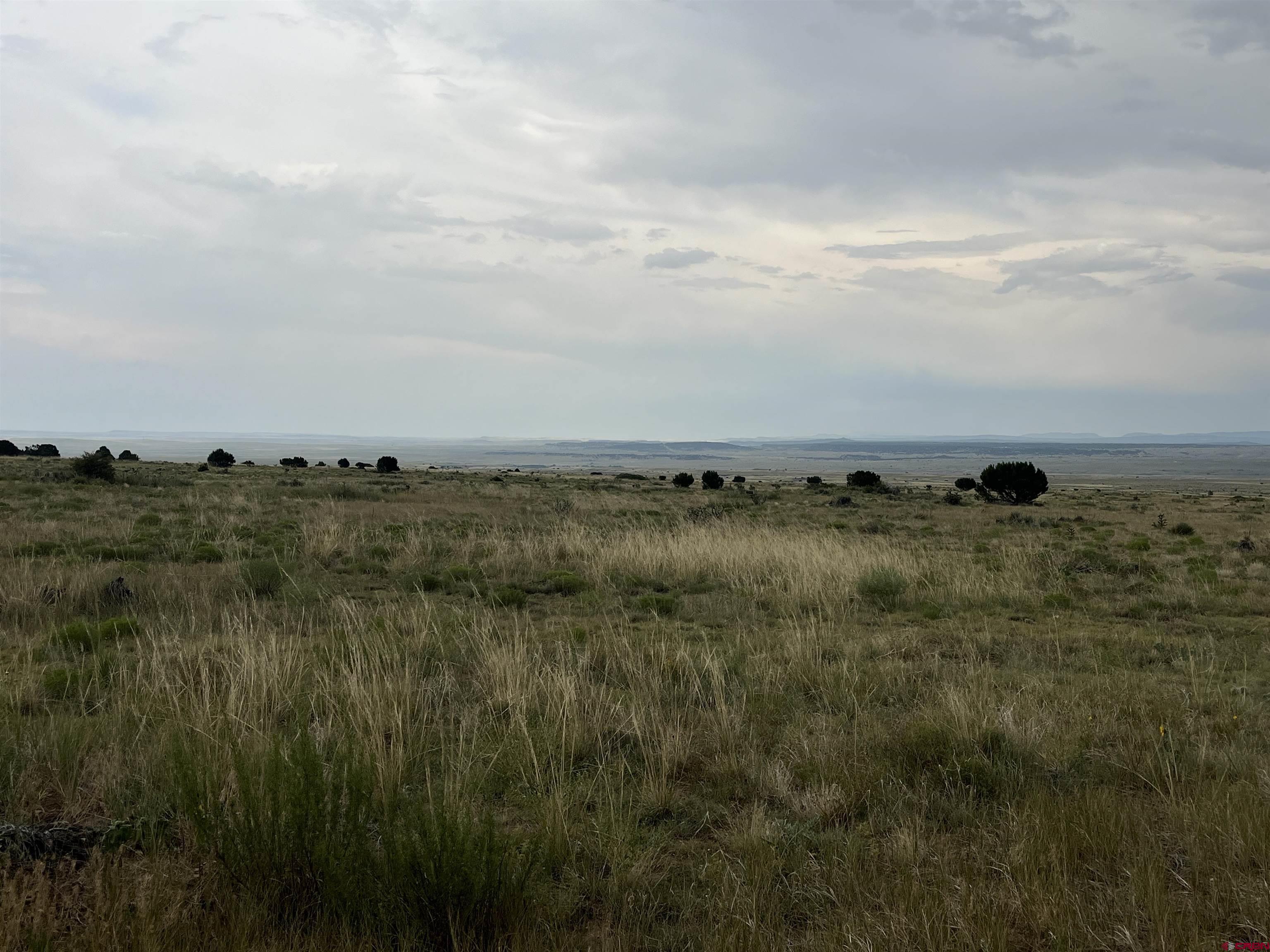 Lot 140 Cl & L Rye, CO 81069 - Photo 9 of 12 a view of a bunch of trees and bushes