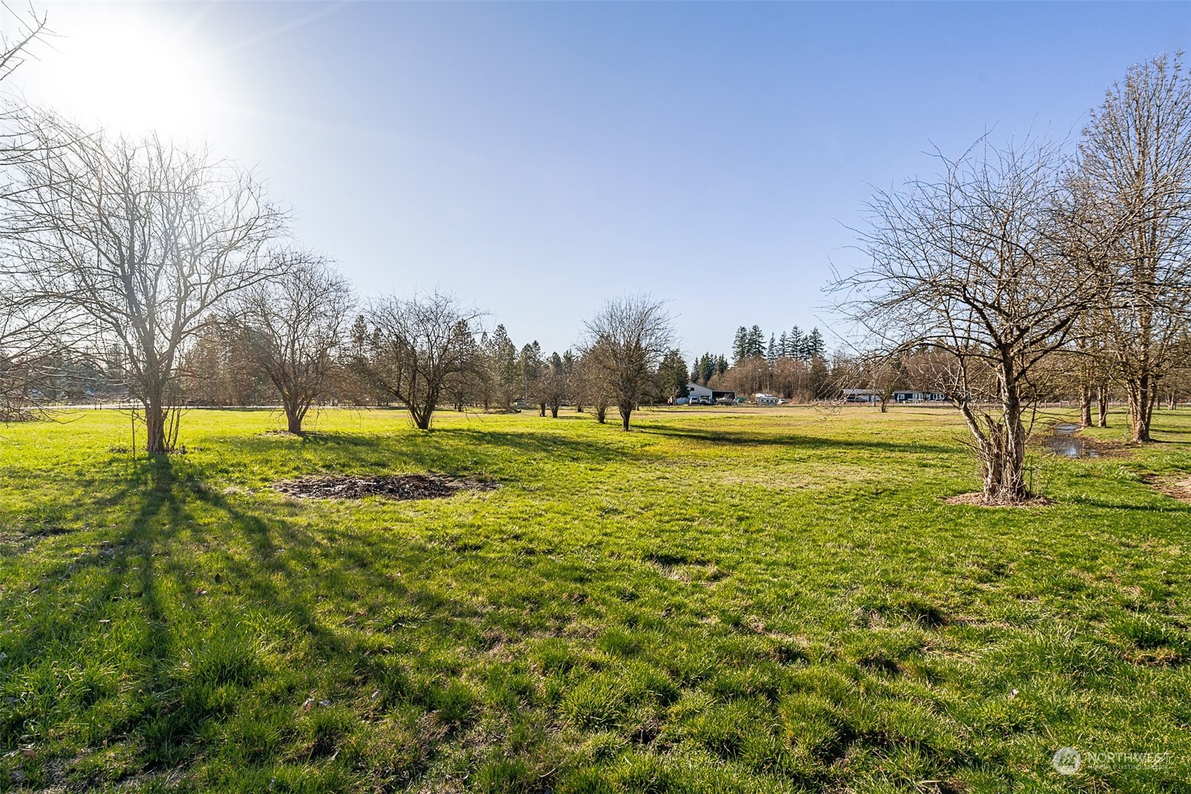 549 Shanklin Road Onalaska, WA 98570 - Photo 28 of 36 Gallery Image 28