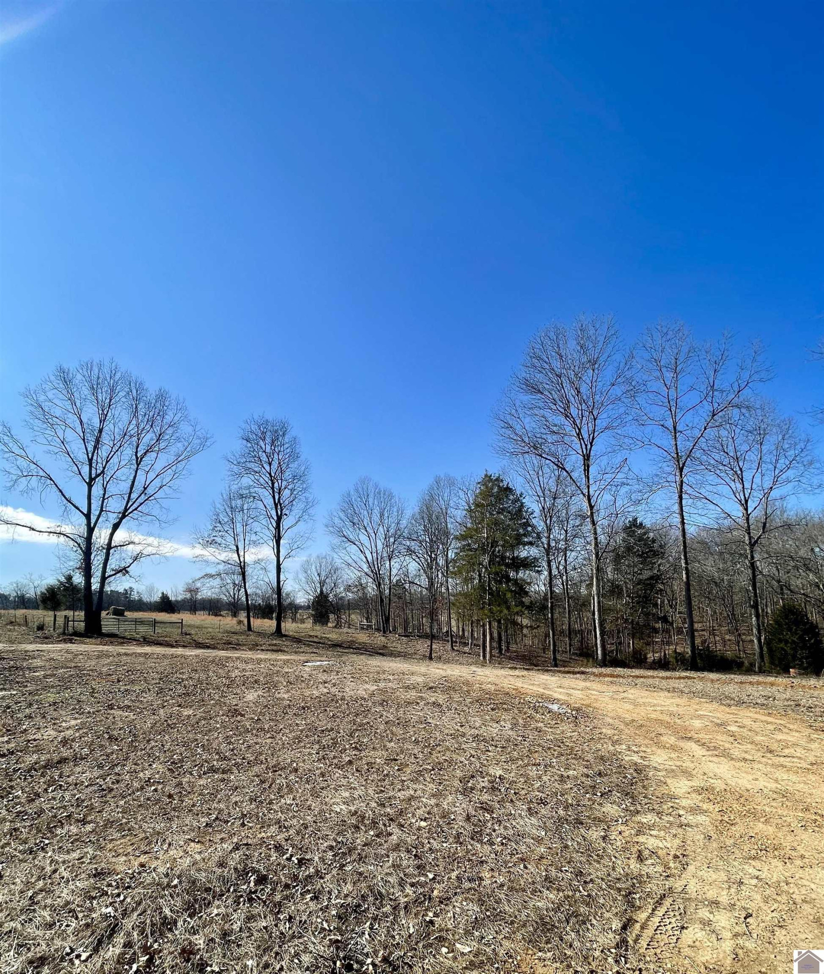 4339 Almo-Shiloh Road Almo, KY 42020 - Photo 4 of 7 Photo 4
