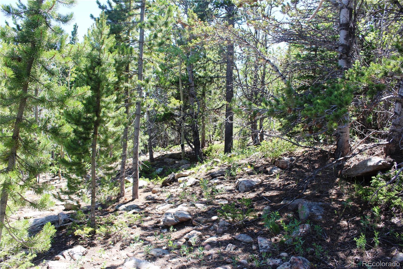 1595 Missouri Gulch Road Black Hawk, CO 80422 - Photo 9 of 49