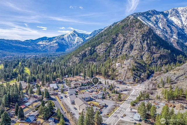 a view of a forest with a forest