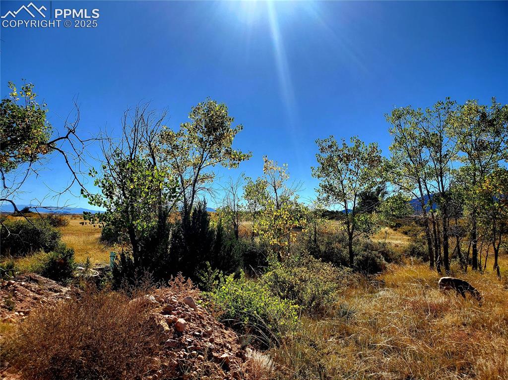 650 County Road Rye, CO 81069 - Photo 8 of 27 a backyard of a house with lots of green space