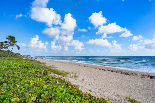 $60,000 | 6373 North Ocean Boulevard, Ocean Ridge, FL 33435