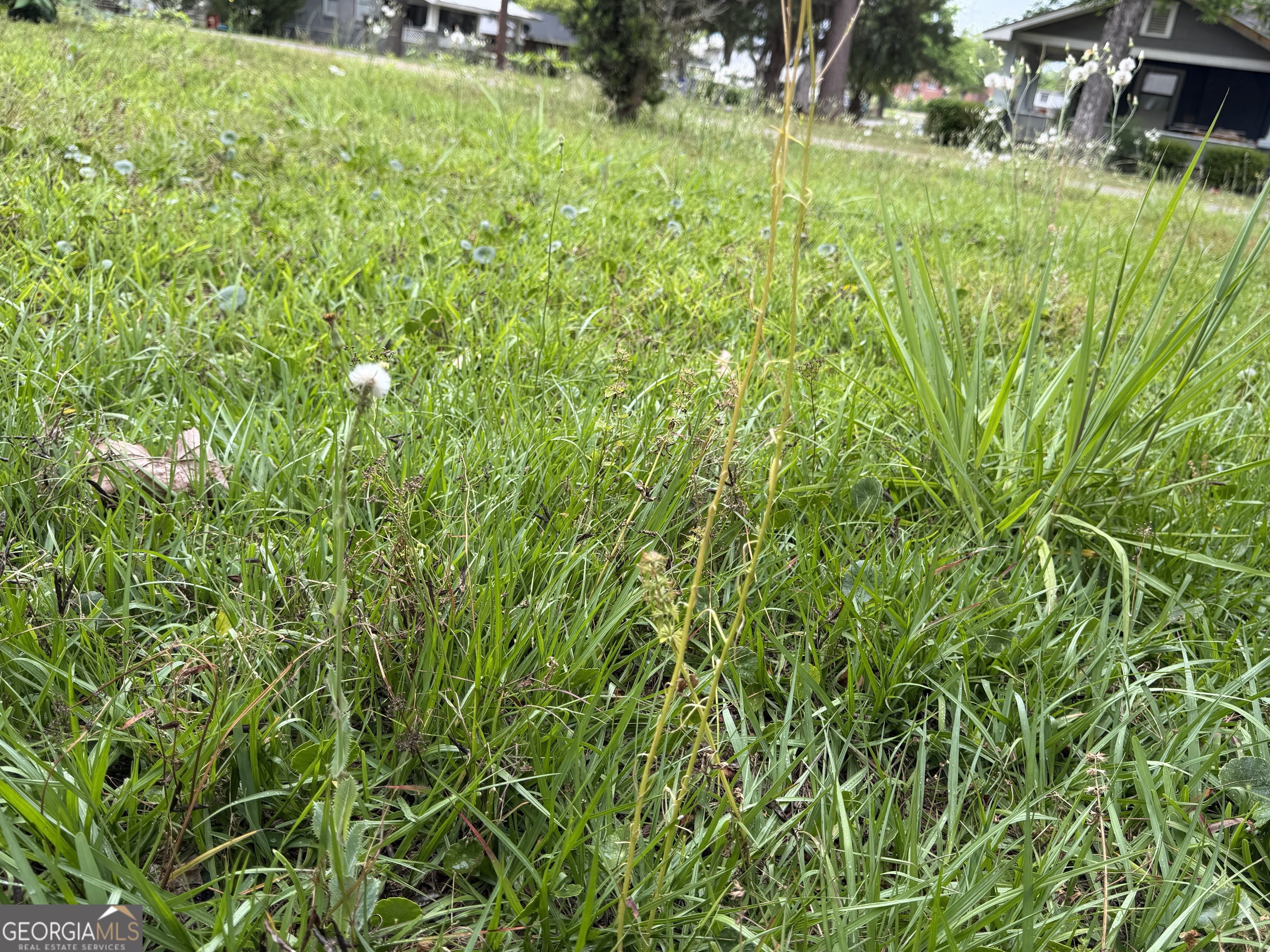 225 West Jessamine Street Fitzgerald, GA 31750 - Photo 11 of 39 a view of a yard with plants