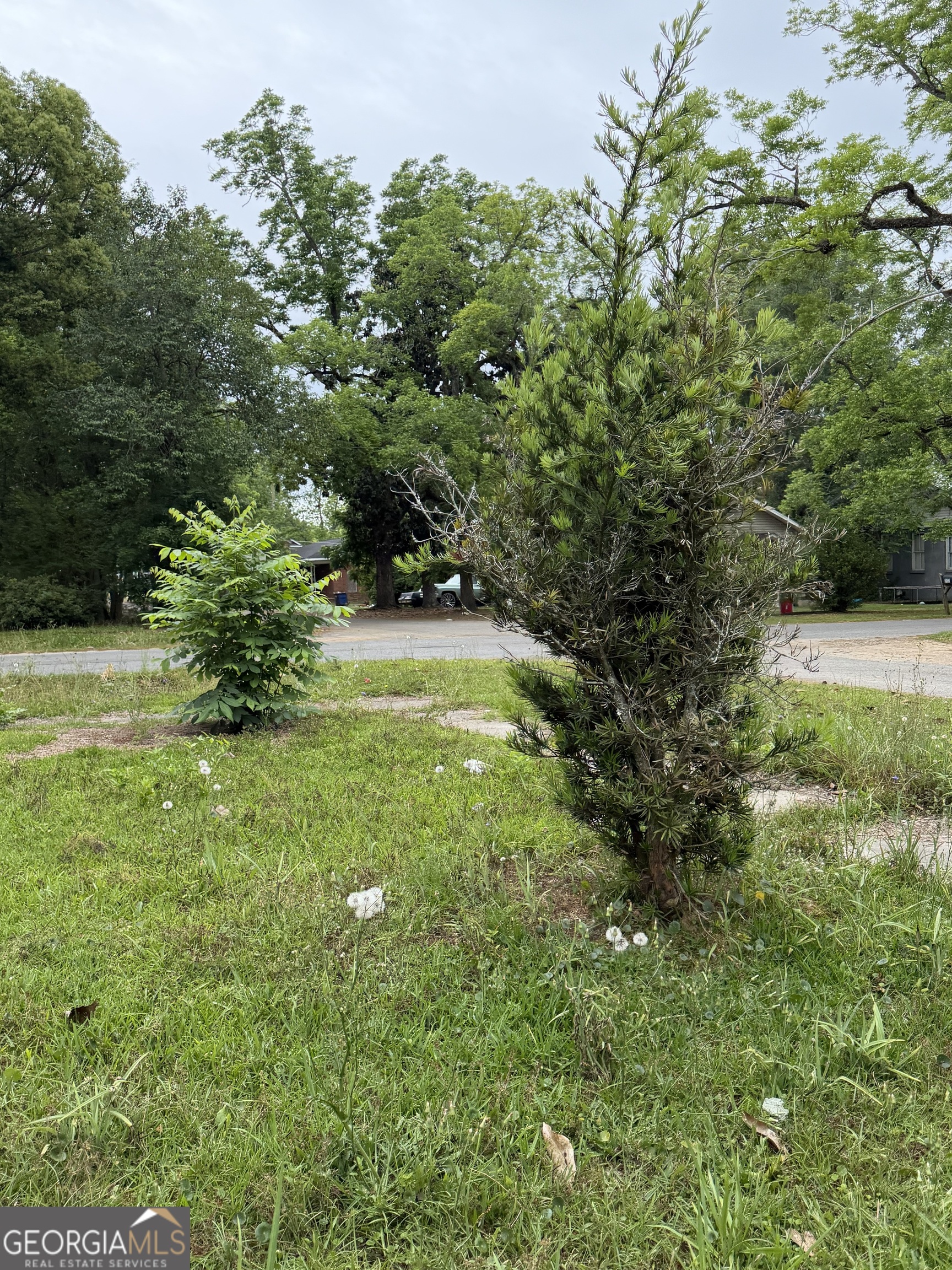 225 West Jessamine Street Fitzgerald, GA 31750 - Photo 12 of 39 a view of a yard