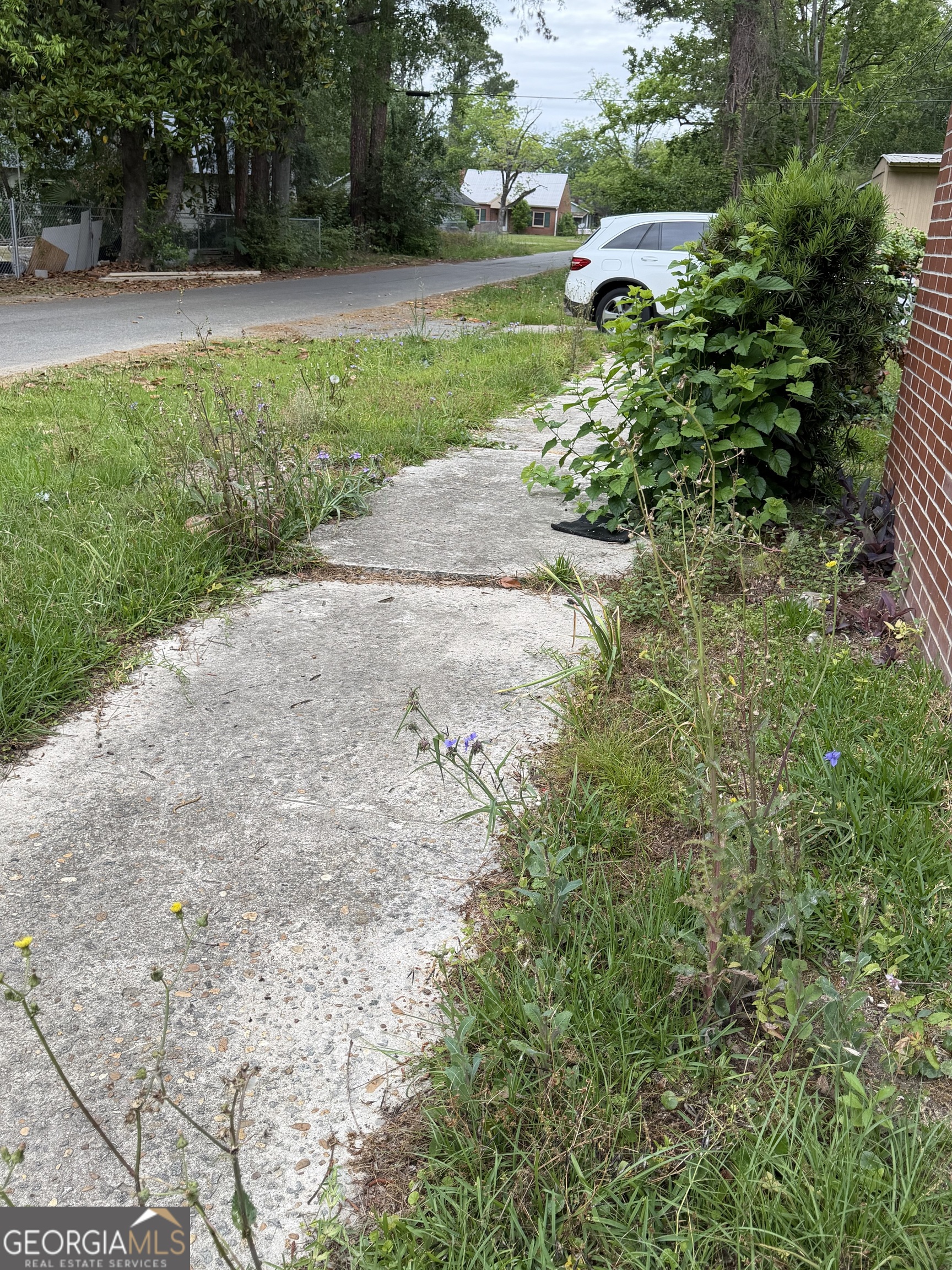225 West Jessamine Street Fitzgerald, GA 31750 - Photo 10 of 39 a view of a garden with trees