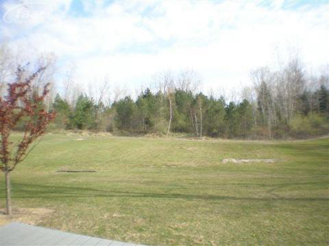 5668 Sanilac Road Vassar, MI 48768 - Photo 4 of 12 20261321-3.JPG