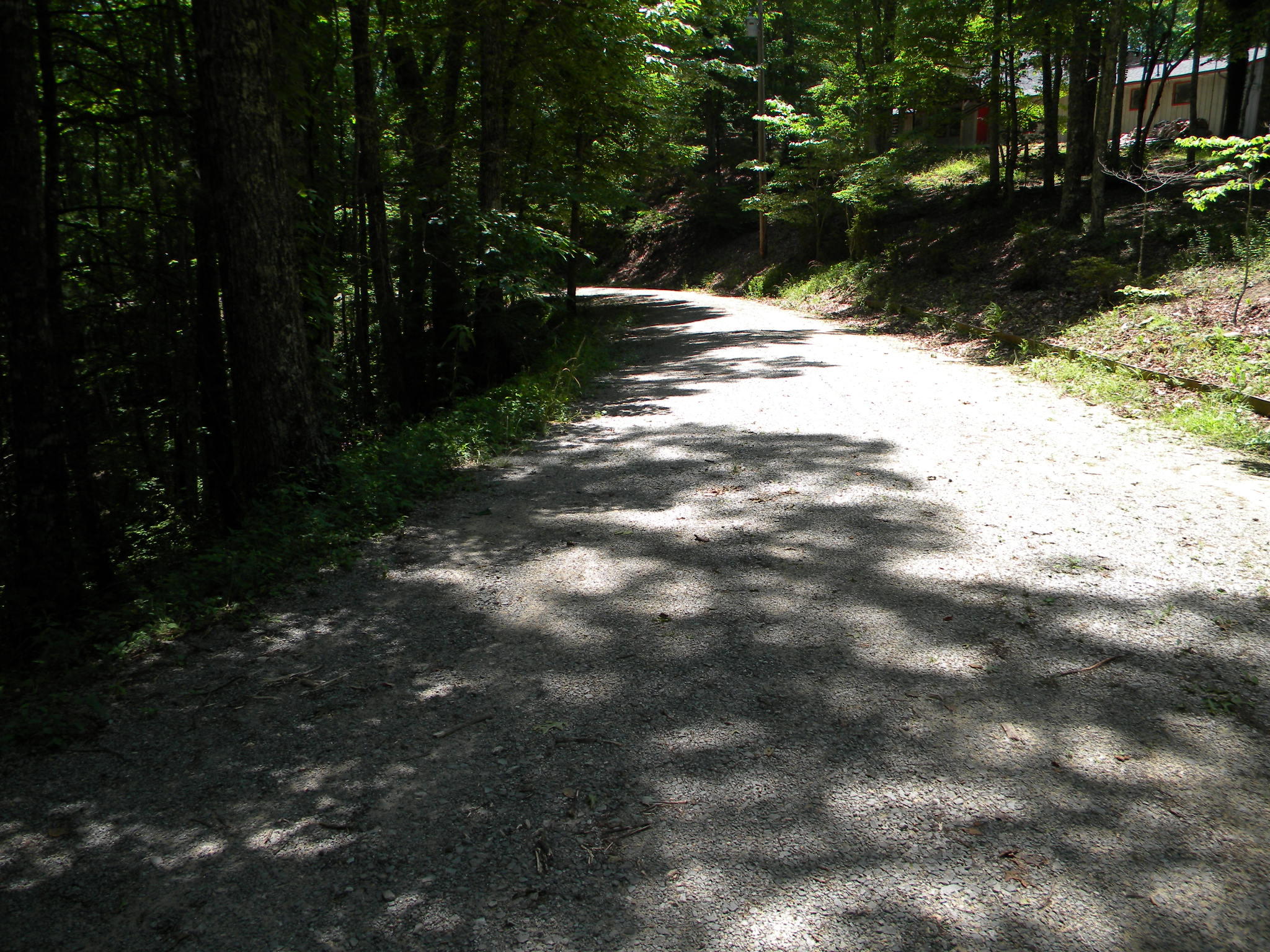 Lot 7 Poplar Bluff Road Walland, TN 37886 - Photo 3 of 9 002 Road