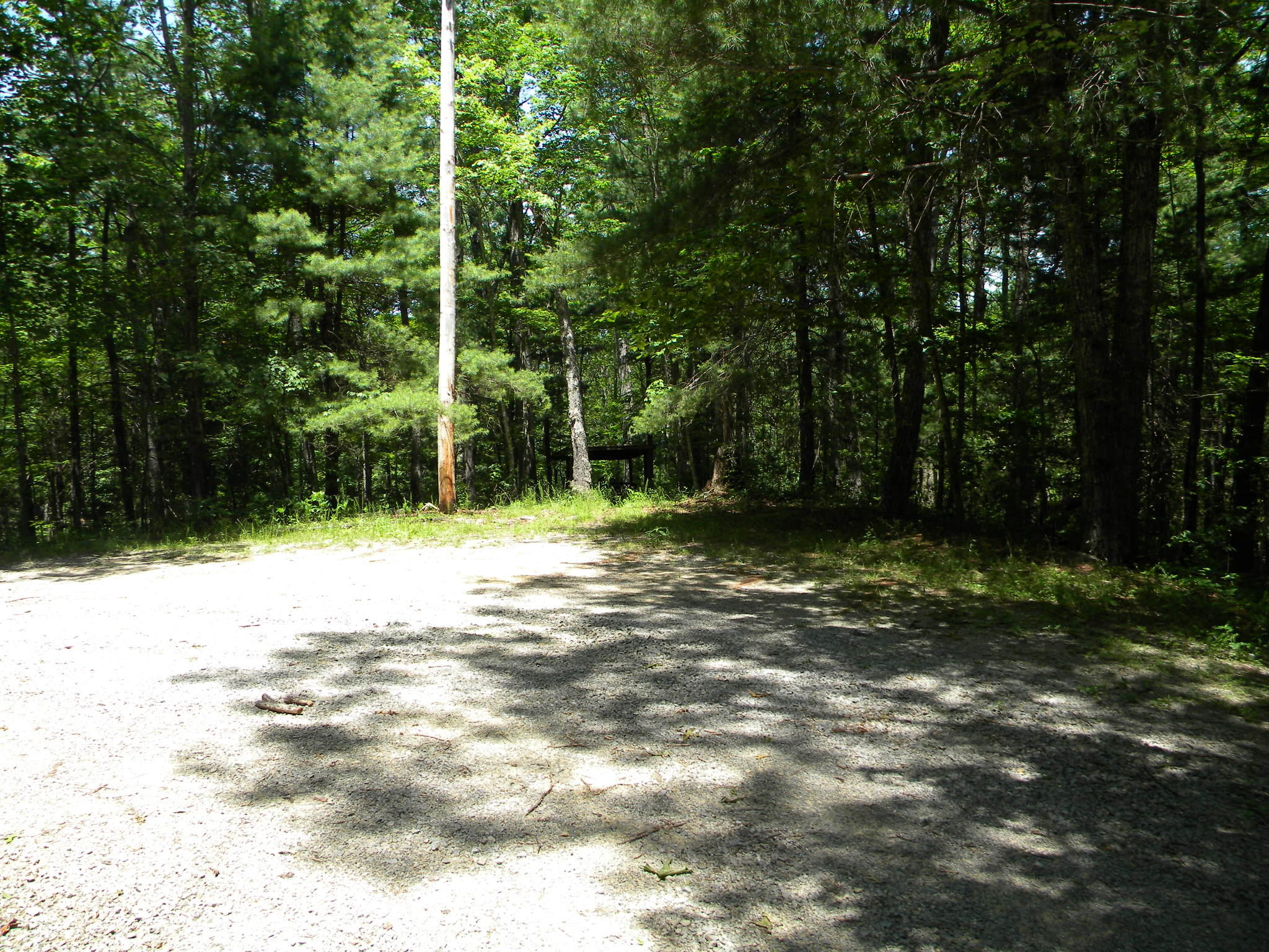 Lot 7 Poplar Bluff Road Walland, TN 37886 - Photo 5 of 9 004 Cul-De-Sac