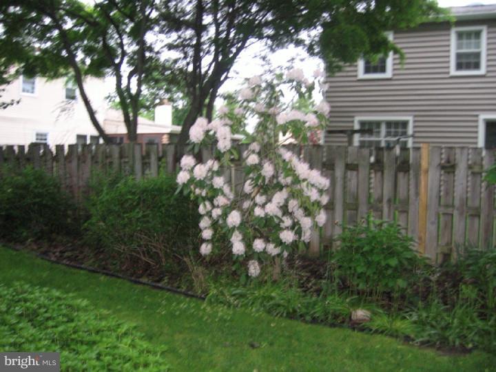 736 Brookhaven Road Wallingford, PA 19086 - Photo 22 of 22 Gallery Image 22