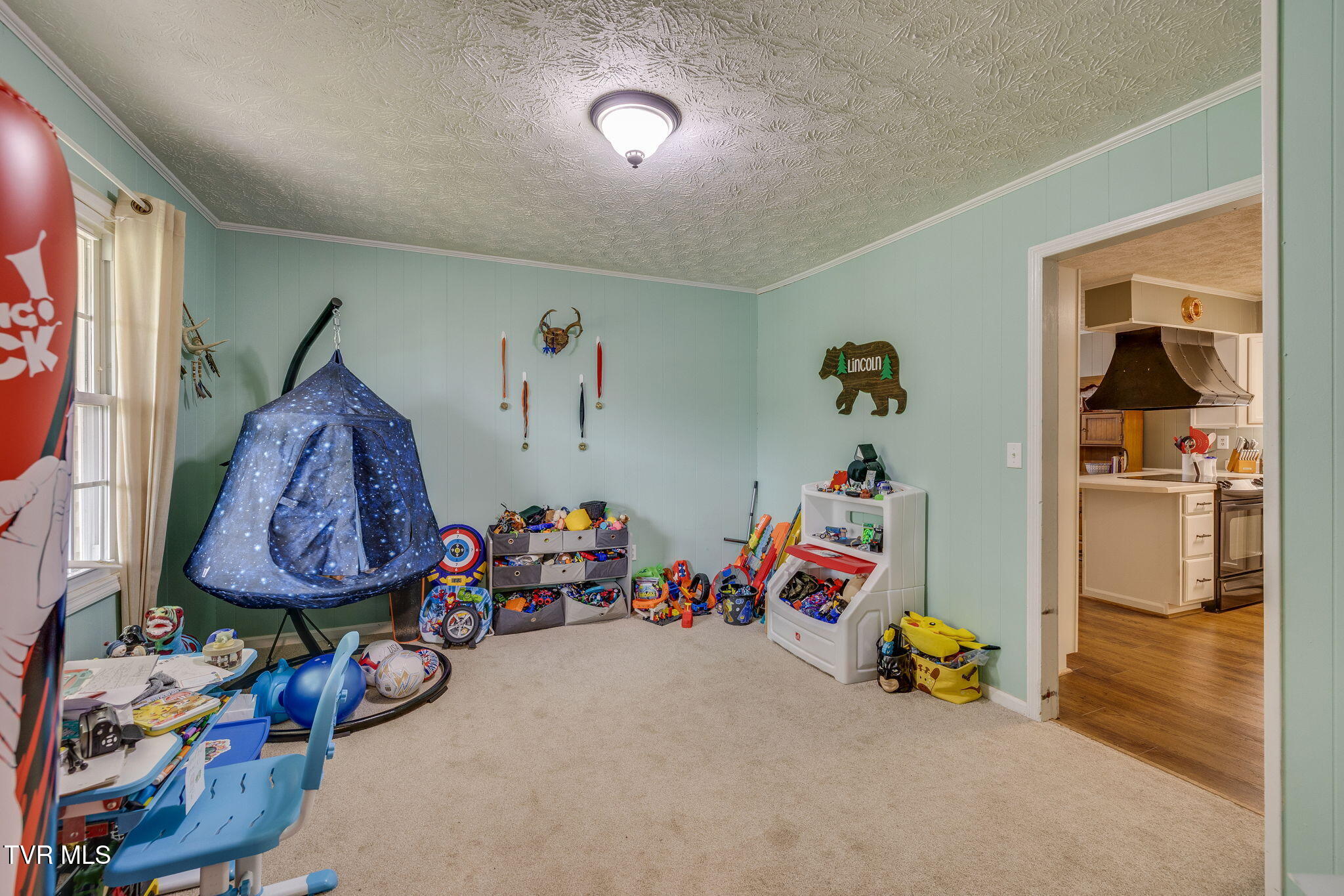 2552 Bob Little Road Elizabethton, TN 37643 - Photo 20 of 42 019