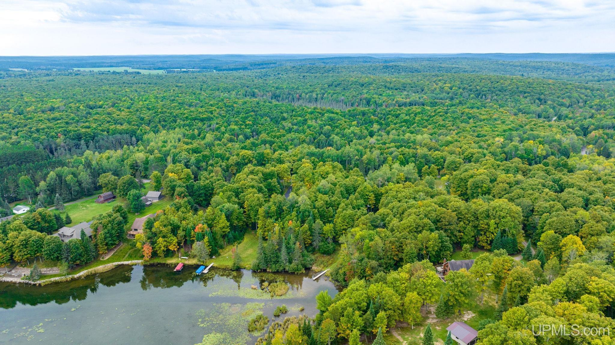 Tbd Hagerman Lake Road Iron River, MI 49935 - Photo 4 of 15