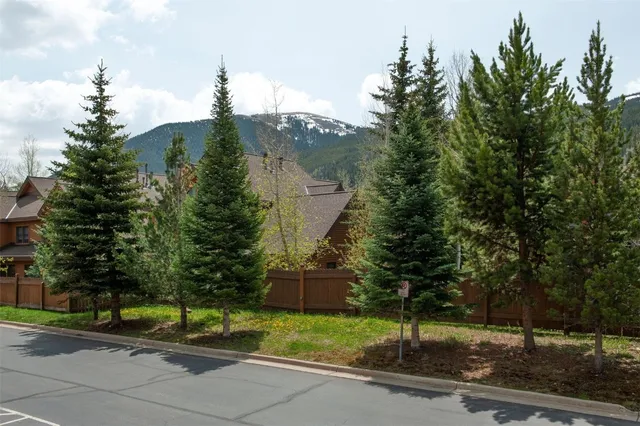 a view of a street with a palm tree
