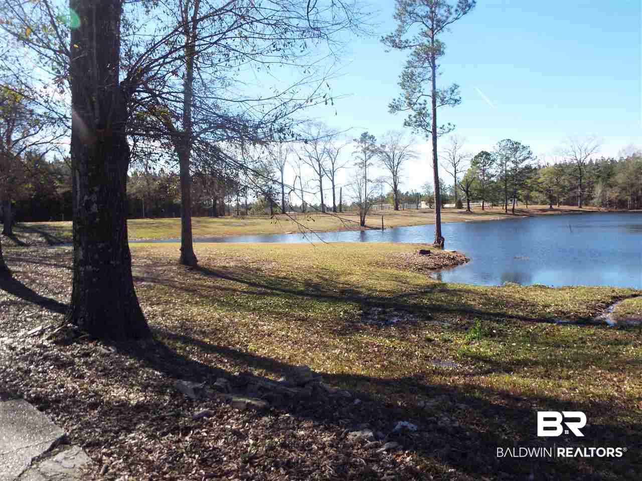 4460 Topton Road McIntosh, AL 36553 - Photo 37 of 45