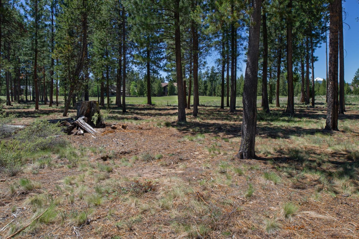 56691 Glowstone Loop Bend, OR 97707 - Photo 3 of 10 Additional Photo