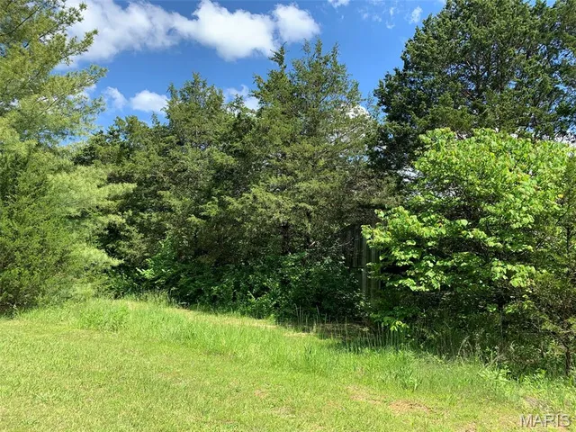 $195,000 | 420 Nancy Drive, Lonedell, MO 63060