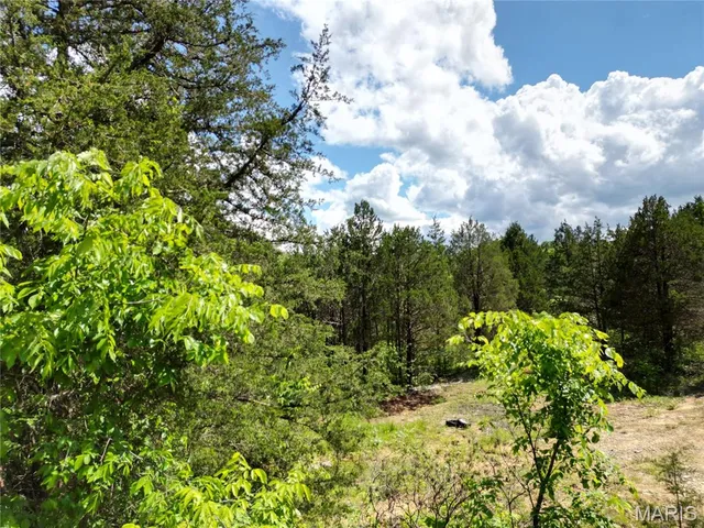 $195,000 | 420 Nancy Drive, Lonedell, MO 63060