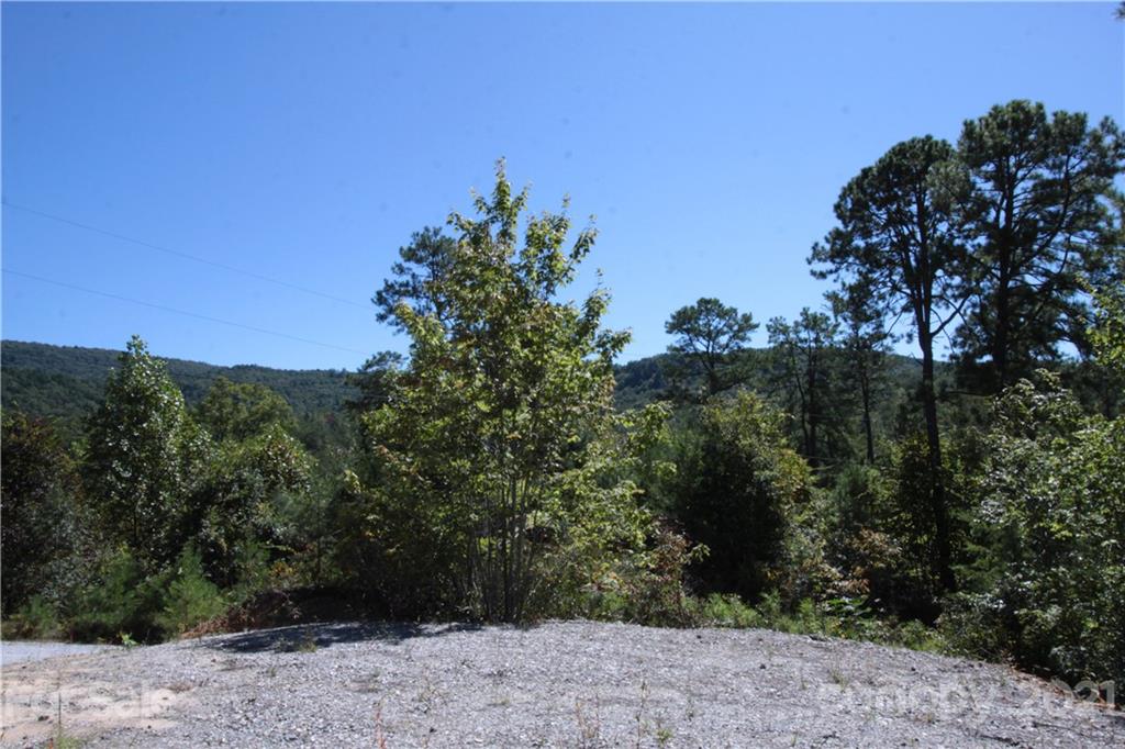25 Round Mountain Road, Unit 25 Brevard, NC 28712 - Photo 1 of 11 Gallery Image 1