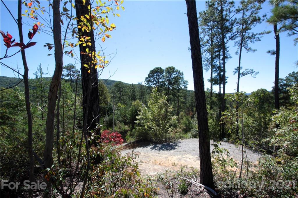 25 Round Mountain Road, Unit 25 Brevard, NC 28712 - Photo 2 of 11 Gallery Image 2