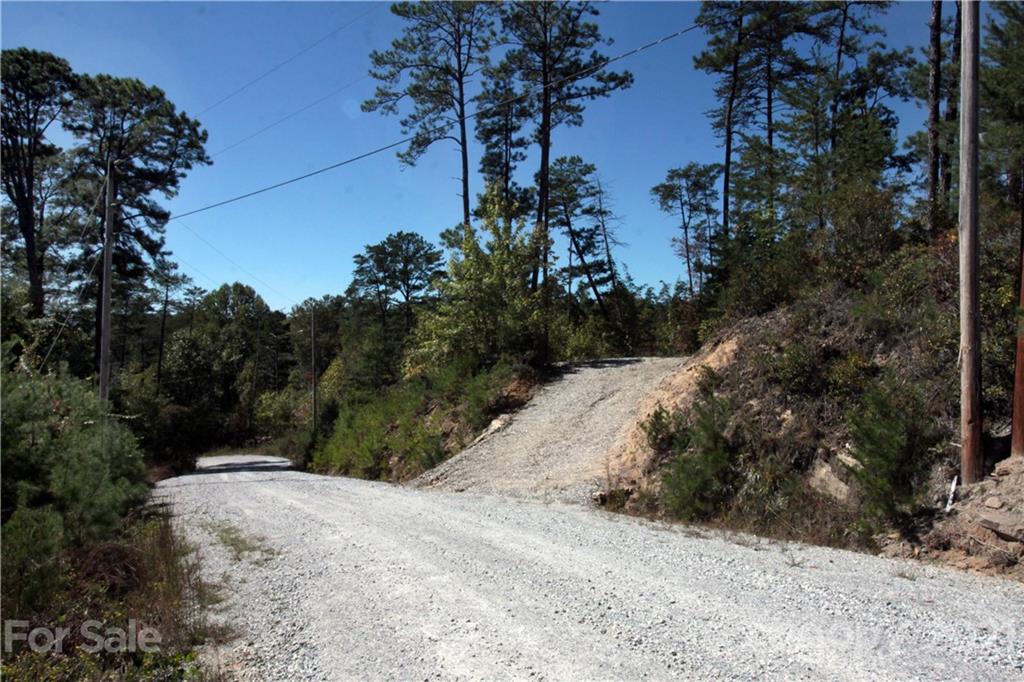 25 Round Mountain Road, Unit 25 Brevard, NC 28712 - Photo 3 of 11 Gallery Image 3