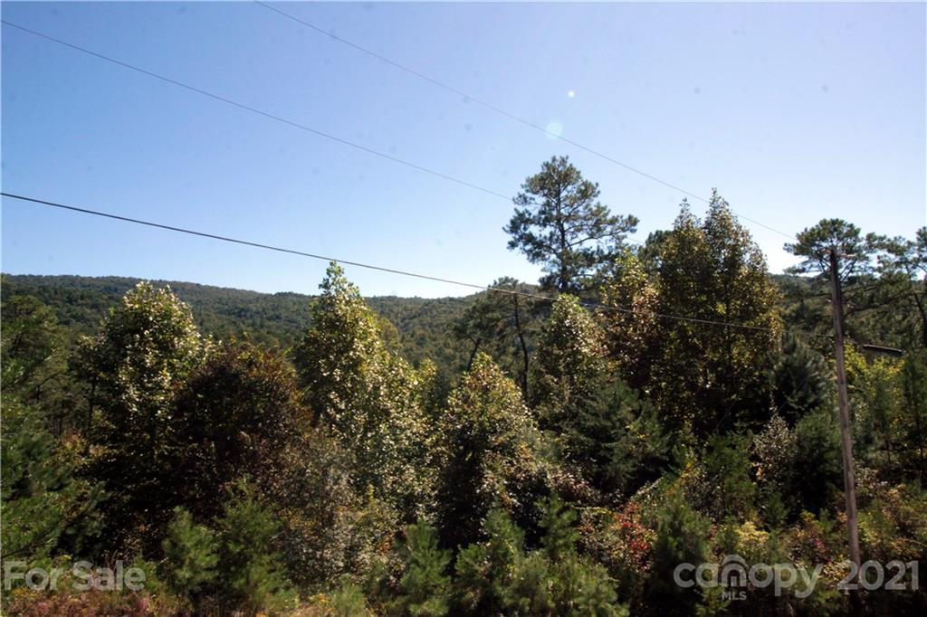 25 Round Mountain Road, Unit 25 Brevard, NC 28712 - Photo 5 of 11 Gallery Image 5