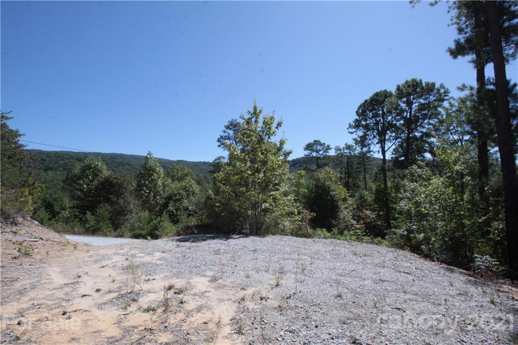 25 Round Mountain Road, Unit 25 Brevard, NC 28712 - Photo 7 of 11 Gallery Image 7