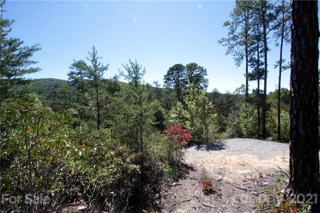25 Round Mountain Road, Unit 25 Brevard, NC 28712 - Photo 8 of 11 Gallery Image 8