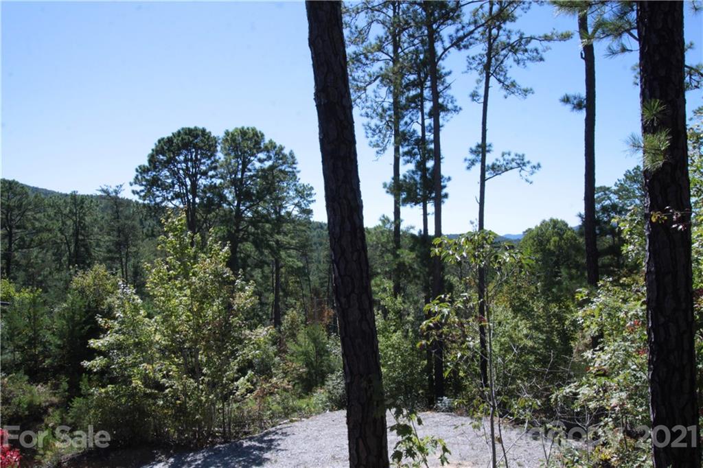 25 Round Mountain Road, Unit 25 Brevard, NC 28712 - Photo 9 of 11 Gallery Image 9