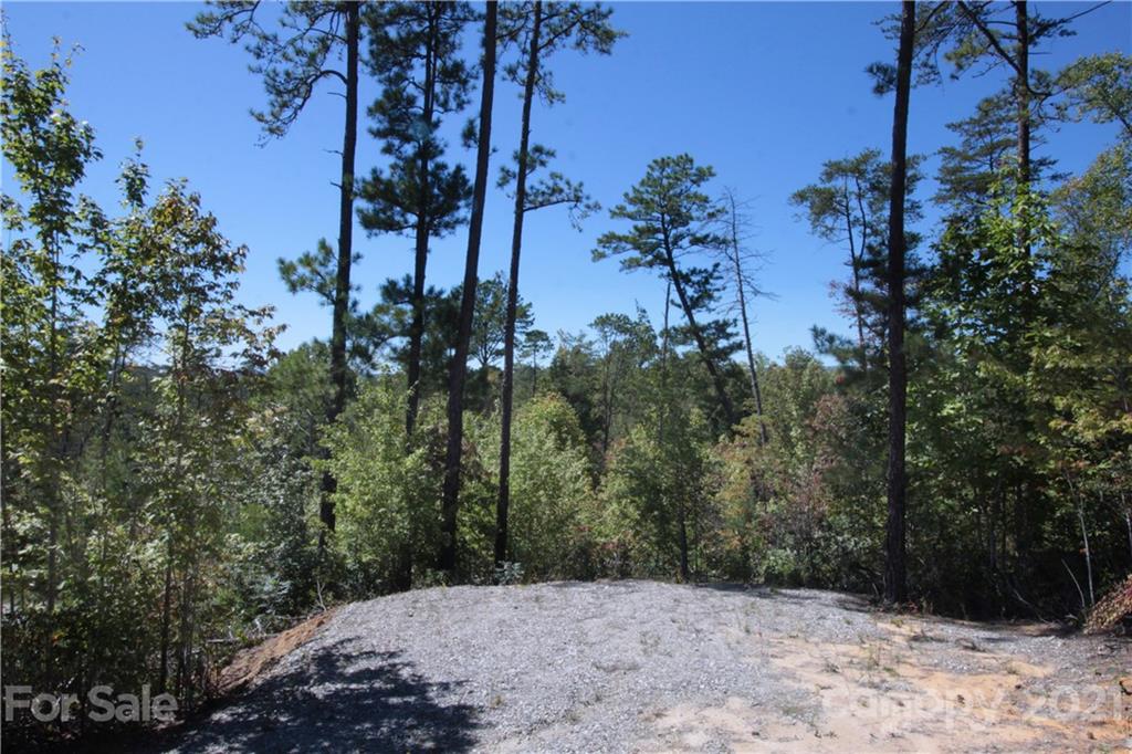 25 Round Mountain Road, Unit 25 Brevard, NC 28712 - Photo 10 of 11 Gallery Image 10