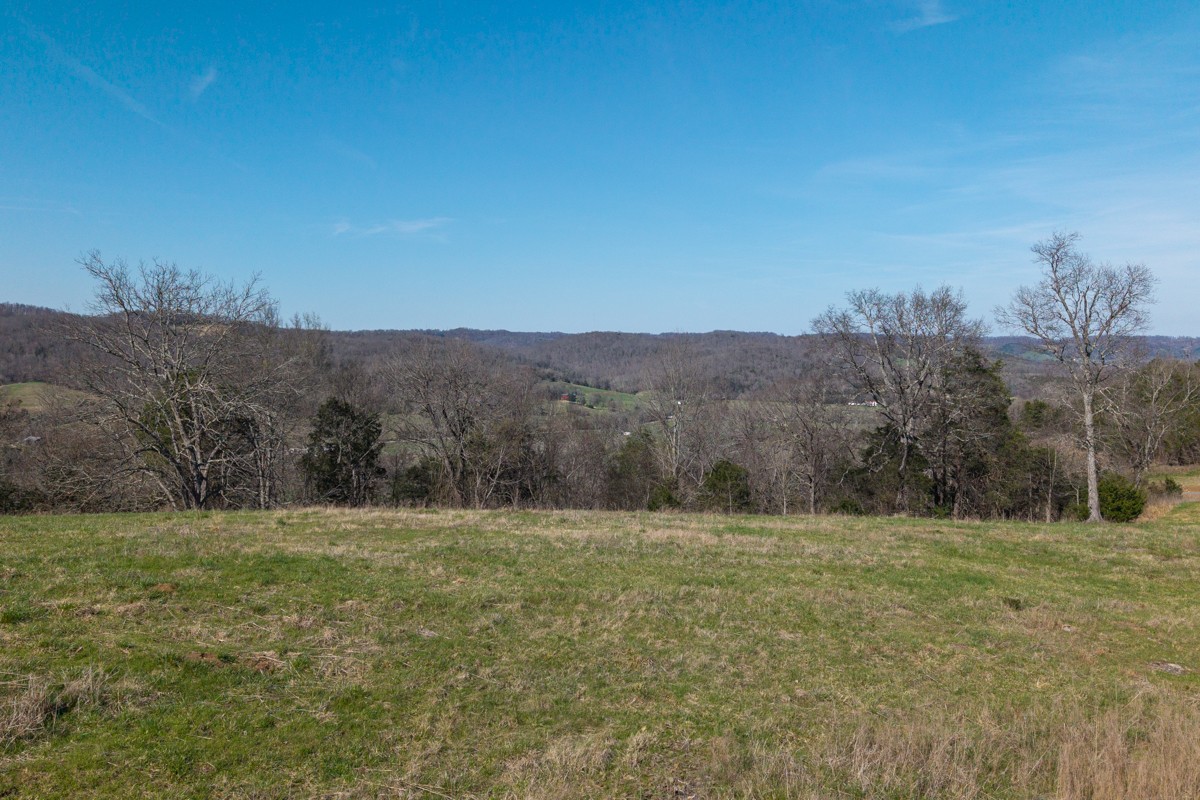 0 Oakley Road Liberty, TN 37095 - Photo 11 of 20 a view of outdoor space and yard