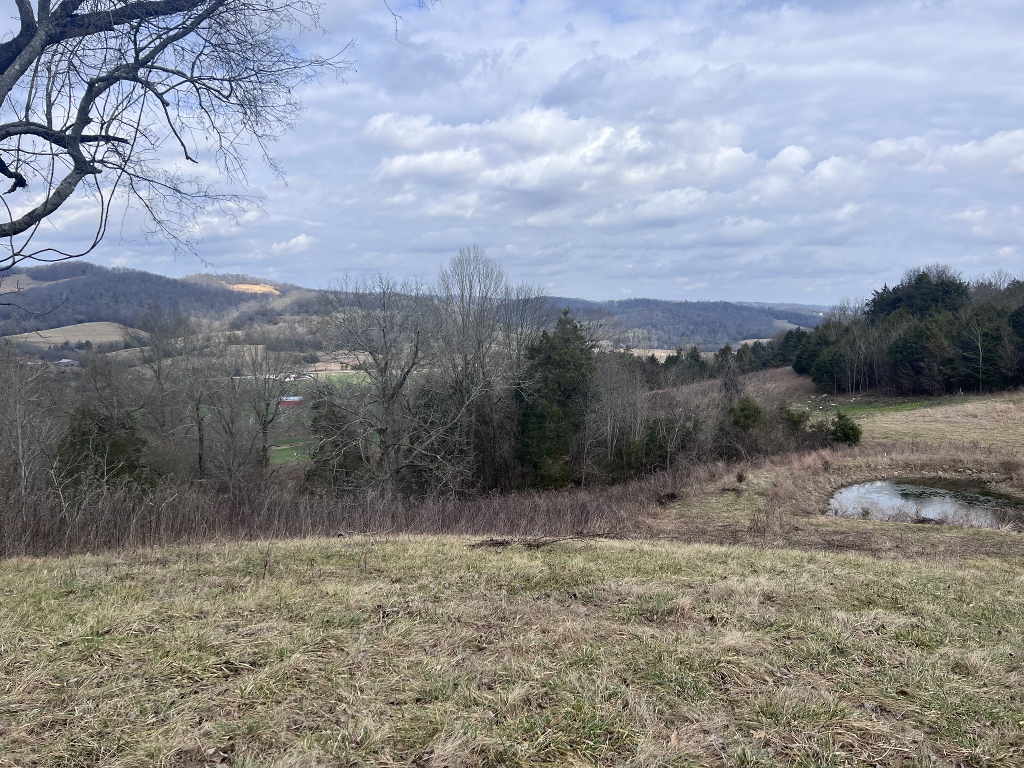 0 Oakley Road Liberty, TN 37095 - Photo 3 of 20 a view of a dry yard with trees