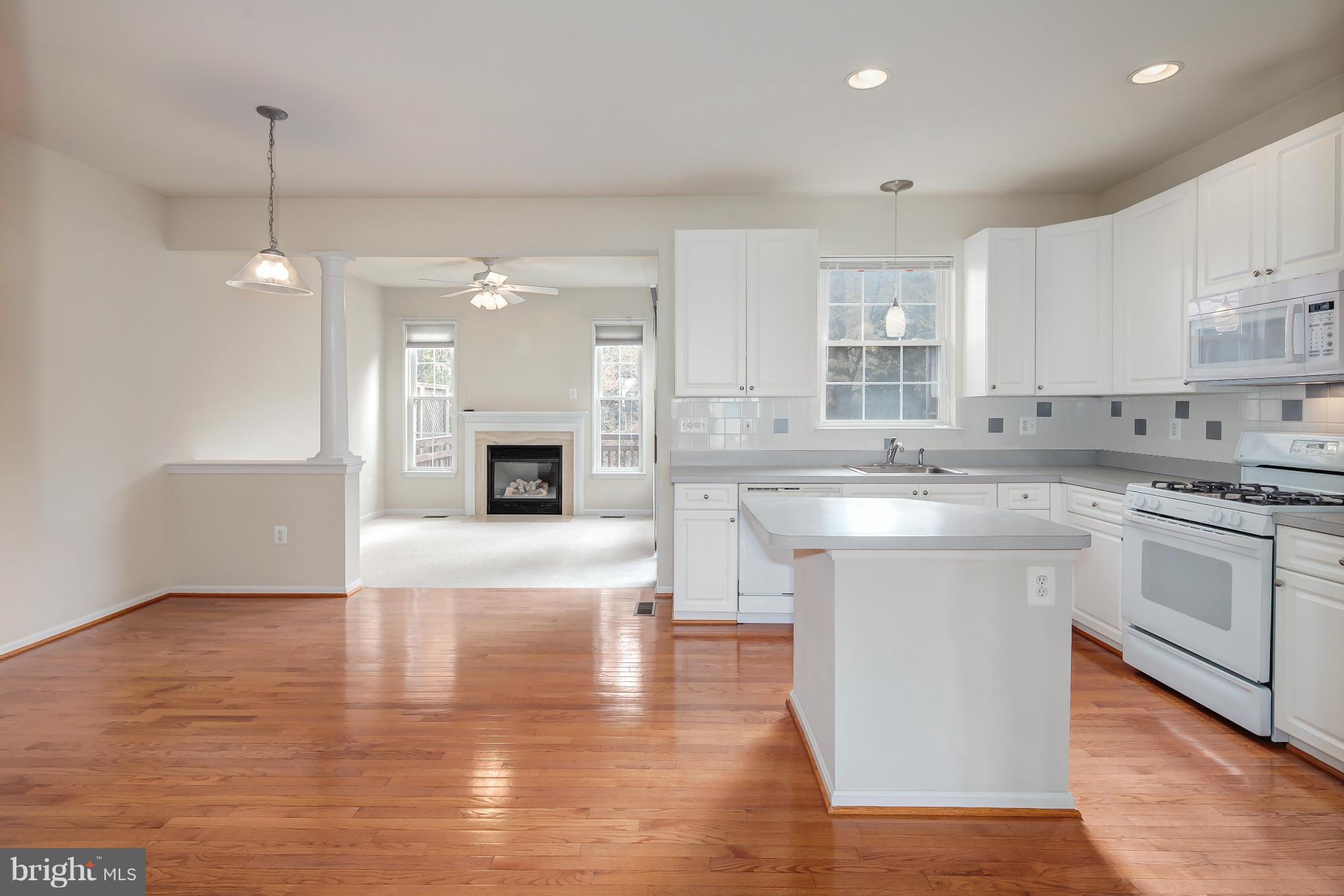 13378 Rushing Water Way Germantown, MD 20874 - Photo 11 of 30 Kitchen