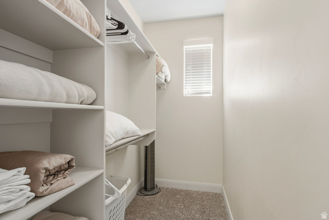 4269 Razor Drive Washington, UT 84780 - Photo 8 of 50 Spacious closet with light carpet