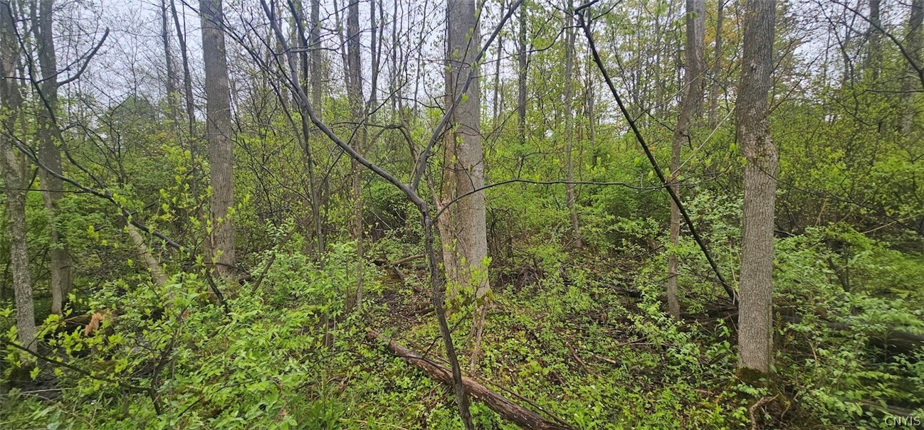 Rotterdam Road Sodus, NY 14551 - Photo 14 of 25