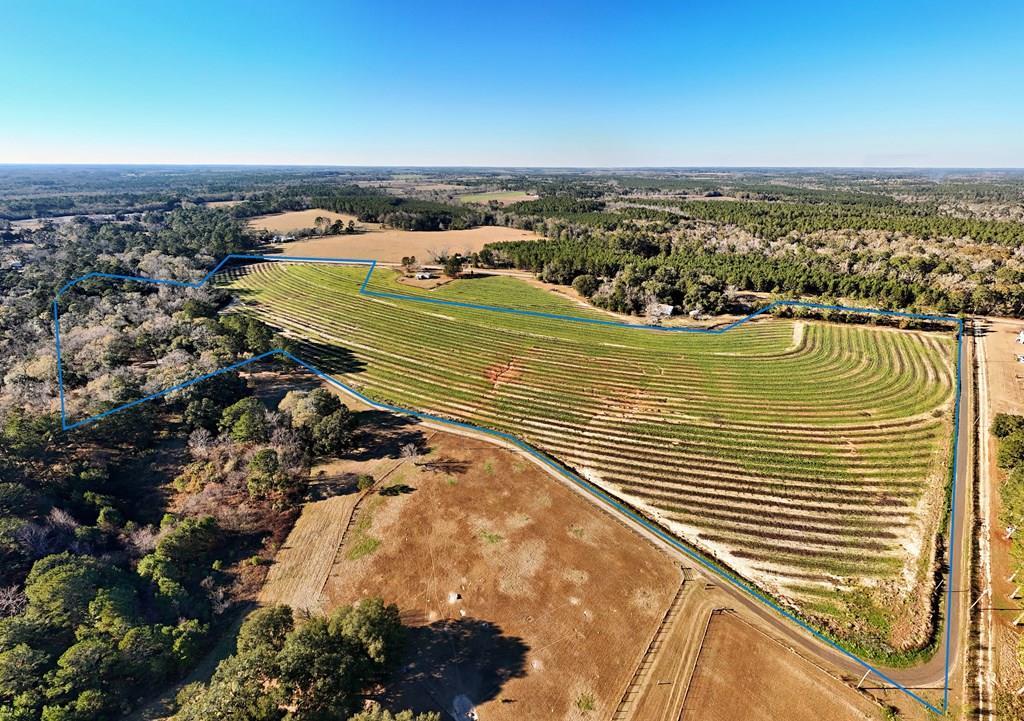 0 Tired Creek Road Whigham, GA 39897 - Photo 14 of 15 Gallery Image 14