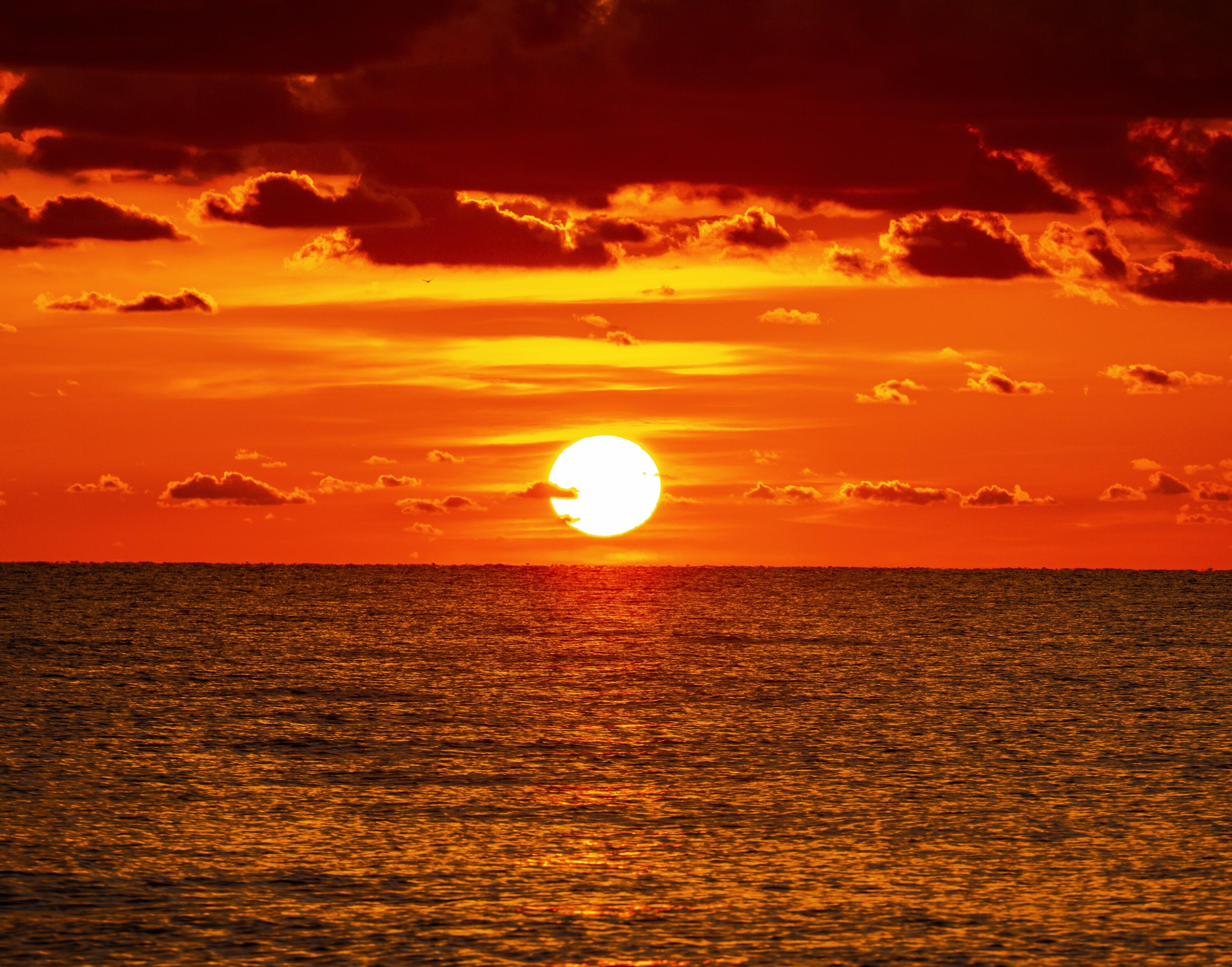 1035 Spanish River Road, Unit 108 Boca Raton, FL 33432 - Photo 13 of 14 MrcI (11 of 12)