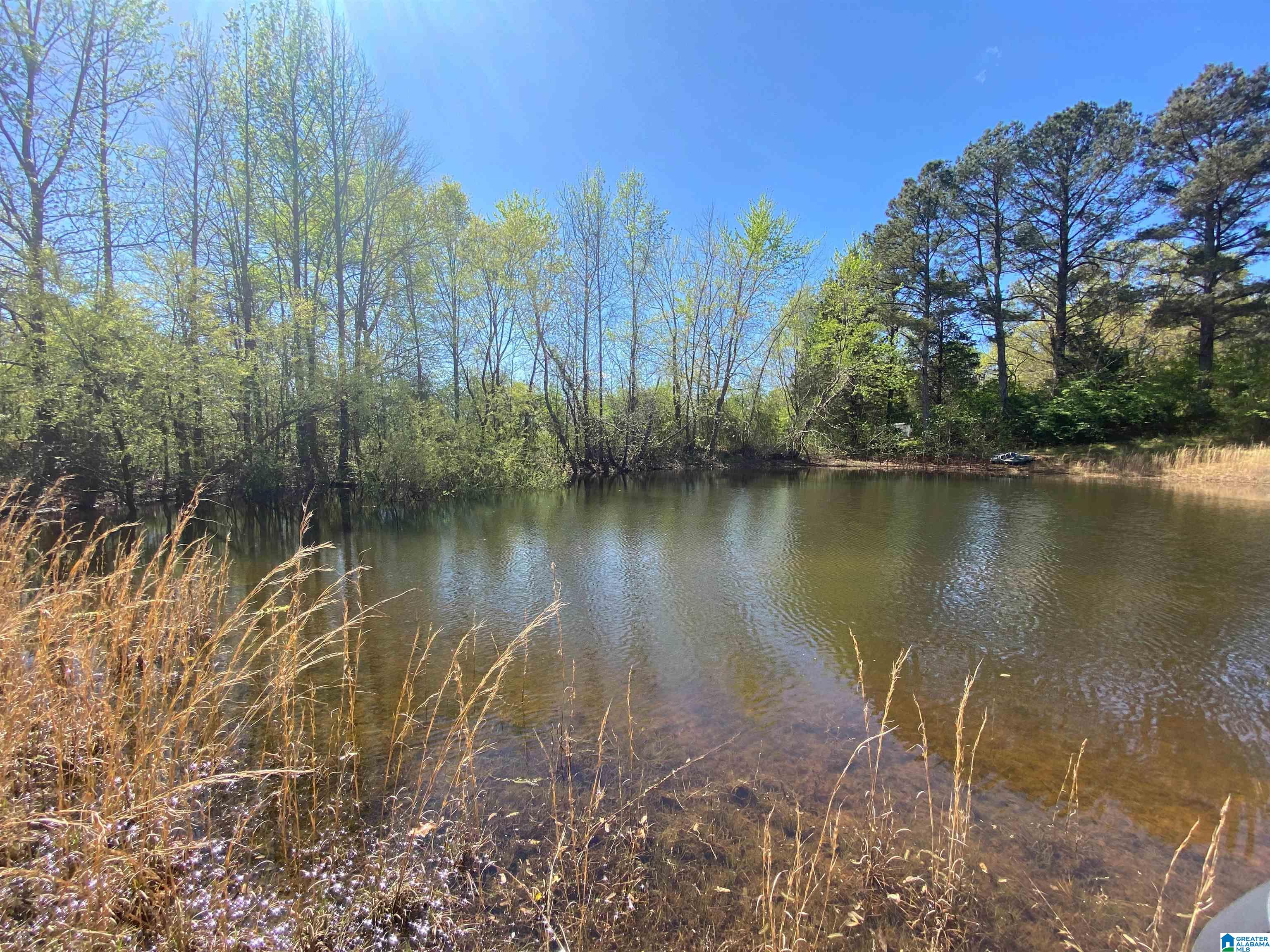 2590 Levine Road Odenville, AL 35120 - Photo 27 of 33