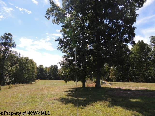 463-489 Slab Cp Road Independence, WV 26374 - Photo 45 of 49 Gallery Image 45