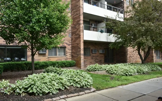 a view of a garden with lake