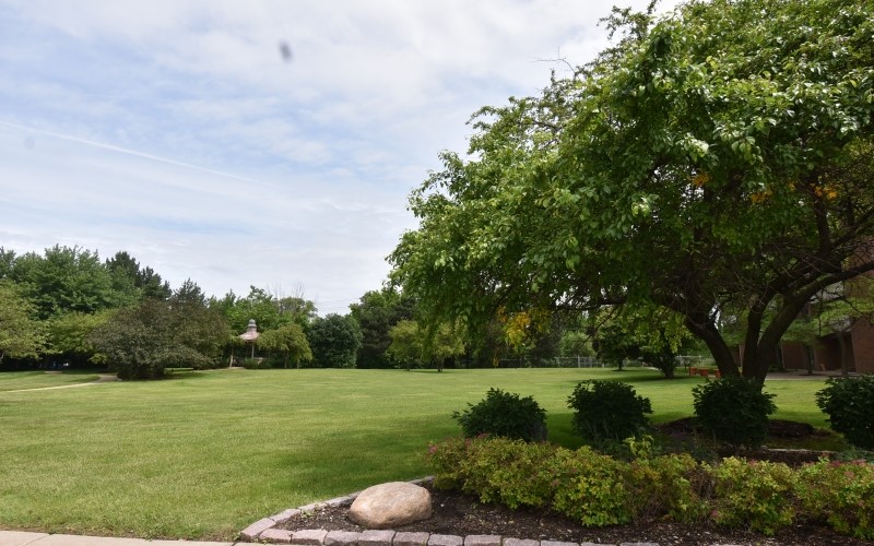 920 John R Road Troy, MI 48083 - Photo 5 of 12 a view of a garden with lake