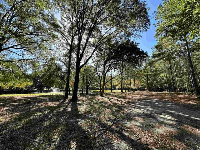 $1,500,000 | Tbd White Oak Drive, Manning, SC 29102