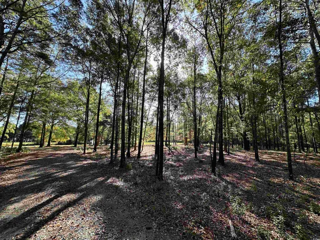 $1,500,000 | Tbd White Oak Drive, Manning, SC 29102