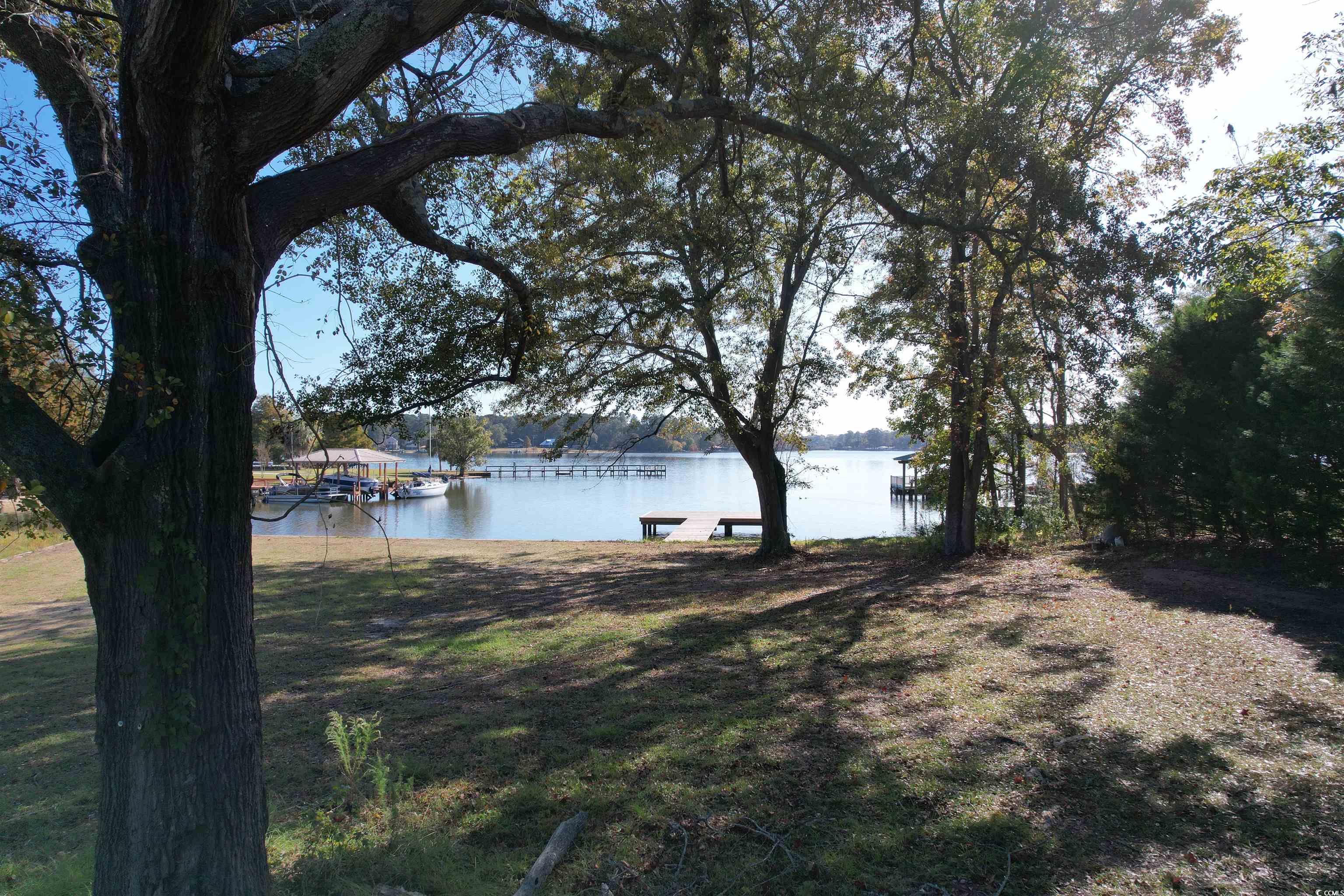 Tbd White Oak Drive Manning, SC 29102 - Photo 3 of 27